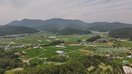 A bird's eye view of rural farmland and villages taken on July 3, 2025 in Geumho-ri, Haepyeong-myeon, Gumi-si, Korea.