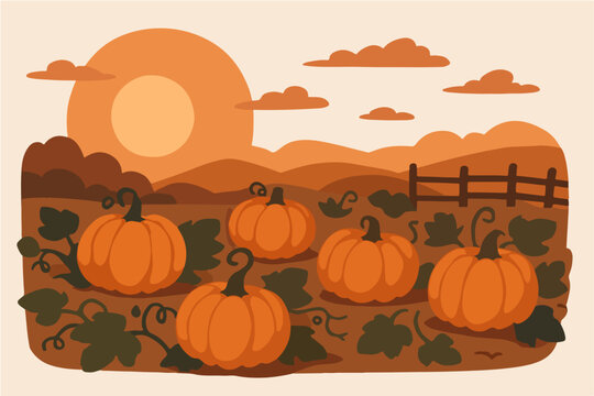Autumn pumpkin patch sunset scene