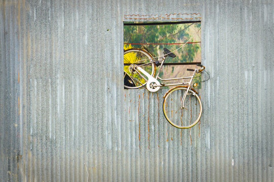 A ladies pushbike hangs out of a shed window