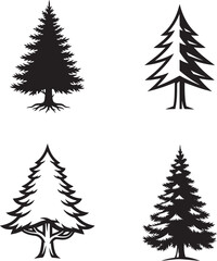 Fototapeta premium Pine tree Silhouettes