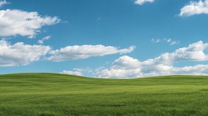 Fototapeta premium Large expanses of green meadows stretch under a white cloud-covered blue sky, showcasing endless natural beauty and are perfect for a variety of activities and landscapes.