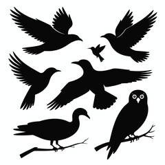 Black bird silhouettes set including owl, duck, and birds in flight on white background