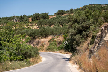 Winding road through lush olive groves in Crete, Greece under clear blue skies