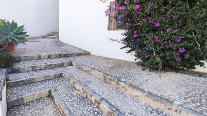 Stone steps lead up to a white building, surrounded by vibrant purple bougainvillea and green plants. The scene captures a typical Spanish architectural style.