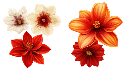 Vibrant blooms showcase stunning colors and intricate details in a harmonious floral arrangement celebrating nature's beauty on transparent background