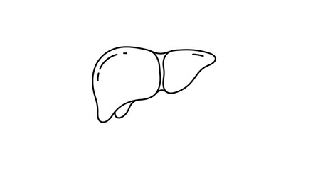 Medical anatomy vector illustration of human liver organ in line art style for educational use