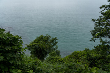 View of the Black Sea from a height down. Botanical garden in Georgia