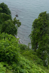 View of the Black Sea from a height down between the trees