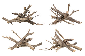Set of natural dry twigs and small branches arranged in piles, isolated on white background with clipping path. Ideal for rustic, campfire, or craft concepts.