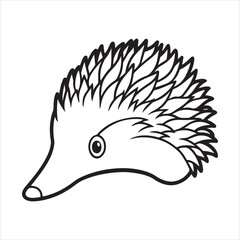Spines and Snouts: The Curious Life of the Echidna