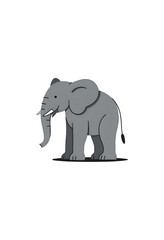 Obraz premium elephant isolated on white