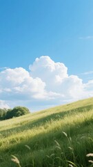 Sunny Hillside with Lush Green Grass and Fluffy White Clouds