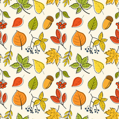 Seamless pattern with colorful autumn leaves and berries. Vector pattern of foliage, including maple, oak, birch, rowan, chestnut and acorns.
