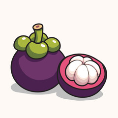 Illustration Vector Graphic Cartoon of a Fresh Manggosteen