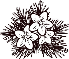 Hand drawn narcissus flowers with pine needles arrangement, vintage botanical  illustration