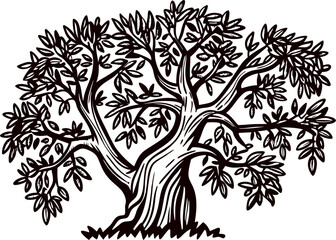 Fototapeta premium Intricate hand drawn olive tree with twisted trunk and leafy branches isolated on white background engraving