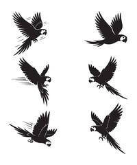 Obraz premium Flying Parrot Silhouettes Vector Collection.