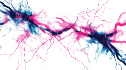 Vibrant pink blue and black sharp lines form vein pattern abstract geometric design dynamic colorful texture modern artistic background isolated on white background