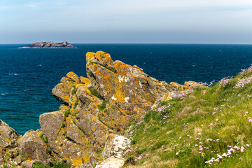 Colourful Summer Cornish Coastal View Looking Across the Atlantic to Gulland Rock, With Thrift and...