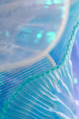 Close-up of shimmering light blue mesh fabric with delicate folds and semi-transparent texture,...