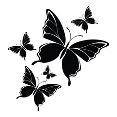 Butterfly shillhute vector art  black and white beckground.