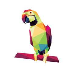 Parrot in Colorful Polygonal Low poly. abstract Parrot Colorful Icon Vector. Polygon Animal Parrot Vector.