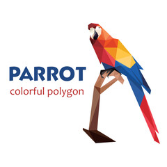 Perch Beautiful parrot in Polygonal Low poly. abstract Parrot Icon Vector. Parrot Illustration Logo.