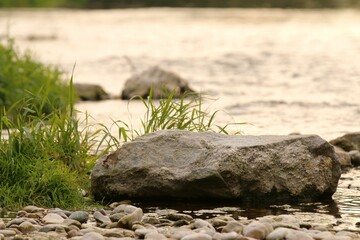 stone on the grass
