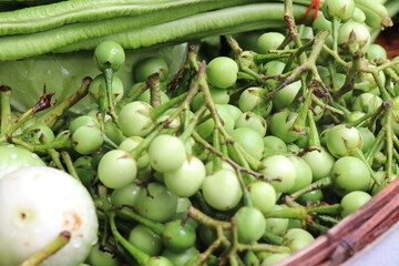 Pea eggplant in the vegetable stall in the market