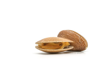 Closed up fresh baby clams. venus shell. shellfish. carpet clams. short necked clams. as raw food from the sea are the seafood ingredients. fresh clams Background.