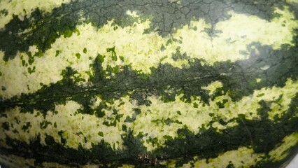Green watermelon rind with pattern