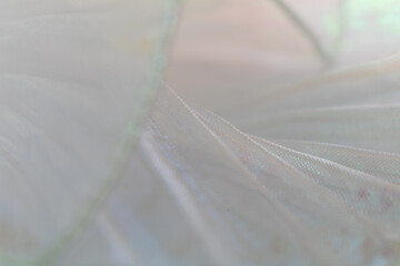 Delicate Iridescent Sheer Fabric – Close-Up of Translucent Textile with Soft Pastel Colors and Light Reflections for Fashion, Design, and Elegant Visual Concepts