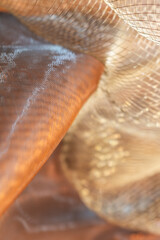 Close-up of translucent mesh fabric illuminated by warm golden light, creating a soft, flowing...