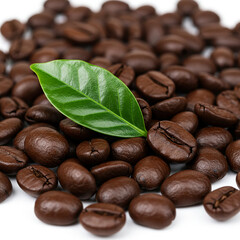 coffee beans and leaves