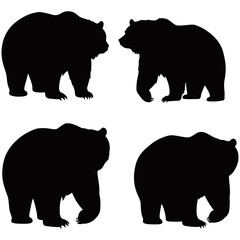 Fototapeta premium Silhouettes of bear and a bear in a wildlife illustration