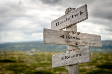 discipline drives results text quote on wooden signpost outdoors in mountain scenery.
