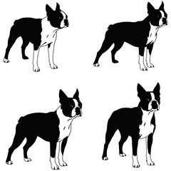 A striking collection of diverse animal silhouettes, including a set of dogs vector illustrations