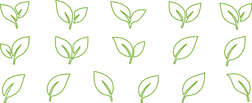 Set of 16 green leaf outline icons in minimal style. Clean and modern botanical elements perfect for eco packaging, vegan labels, sustainability branding, and nature themes
