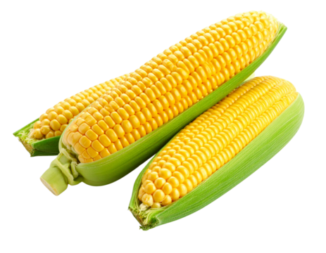 Bullseye with darts stuck in the center pg - Firefly_Shucked ears of corn - isolated image