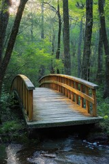 Fototapeta premium wooden footbridge over a small stream in a serene green forest with sunlight filtering through tall trees in the background