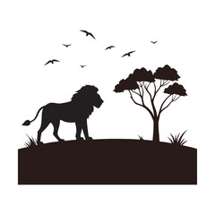 Lone Lion With Flying Birds Silhouette