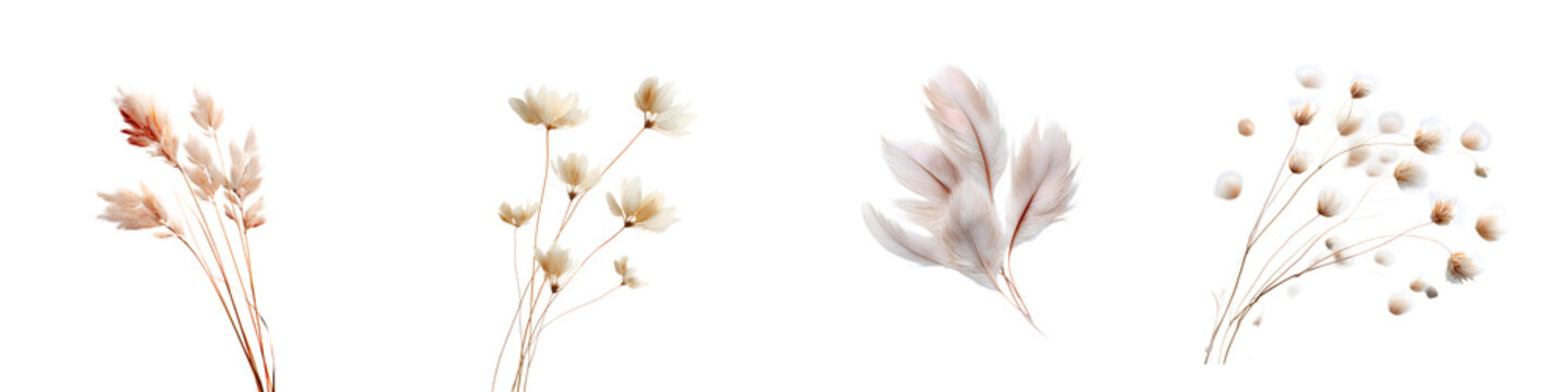 Delicate Dry Flower Bouquet Watercolor Set Isolated on White