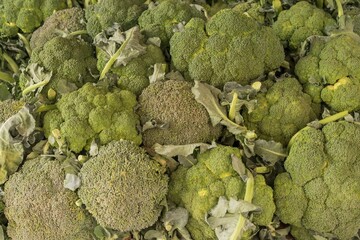 Close-Up of Fresh Broccoli and Cauliflower Texture, Raw Vegetables

