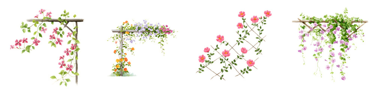 Climbing Flowers on Trellis Watercolor Illustration Set