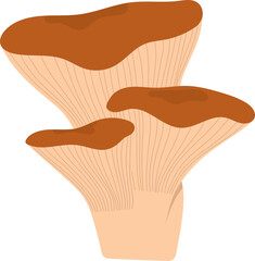 Colorful Illustrated Wild and Edible Mushrooms – Botanical Cartoon Fungi Collection