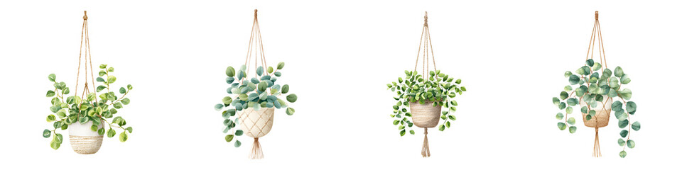 Watercolor Set of Hanging Potted Plants with Macrame on White