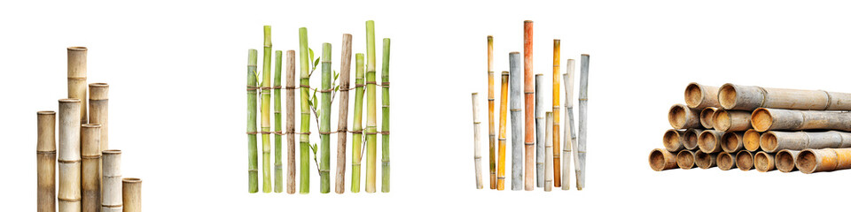 Bamboo Stalk Collection: Natural Green and Dried Bamboo on White Background