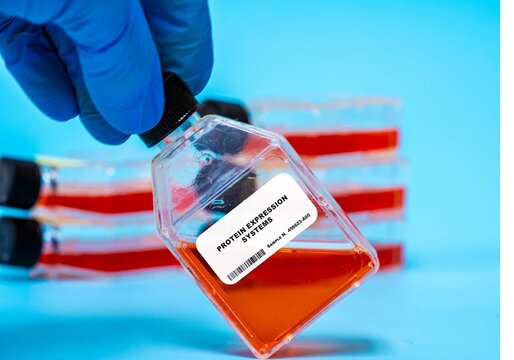 Protein Expression Systems Culturing cells to produce
