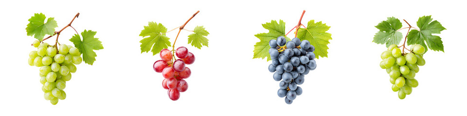 Fototapeta premium Variety of Fresh Grapes: Green, Red, and Blue on White Background