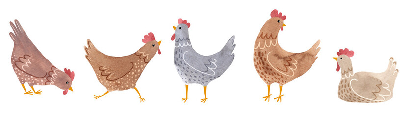 A set of cute cartoon hens. Watercolor illustration of five colorful chickens in different poses. Hand-drawn domestic birds. 